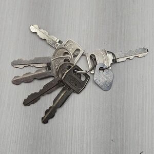 Vintage Ford Automotive Key Ring Lot Mexico Record Number Destroy Tag FA1188